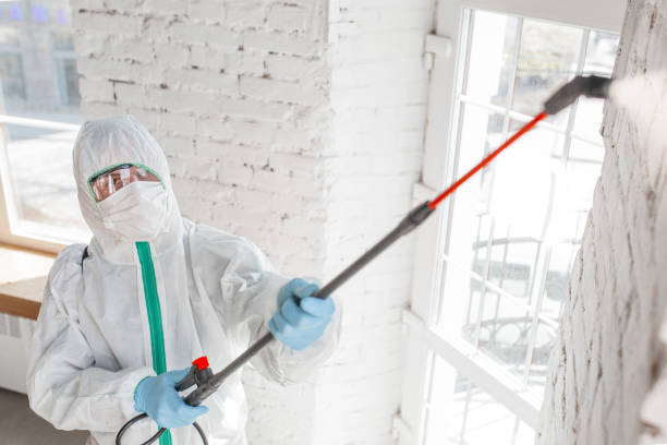 Best Indoor Air Quality Assessment  in Winthrop, IA
