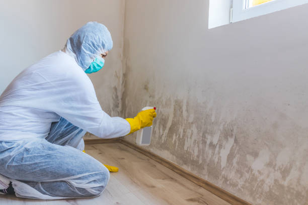 Best Airborne Mold Testing  in Winthrop, IA