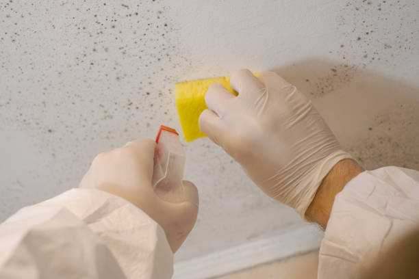Best Forensic Mold Investigation  in Winthrop, IA
