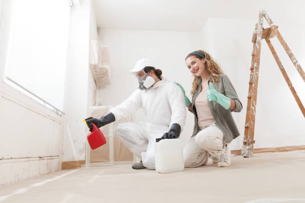 Best Black Mold Removal  in Winthrop, IA