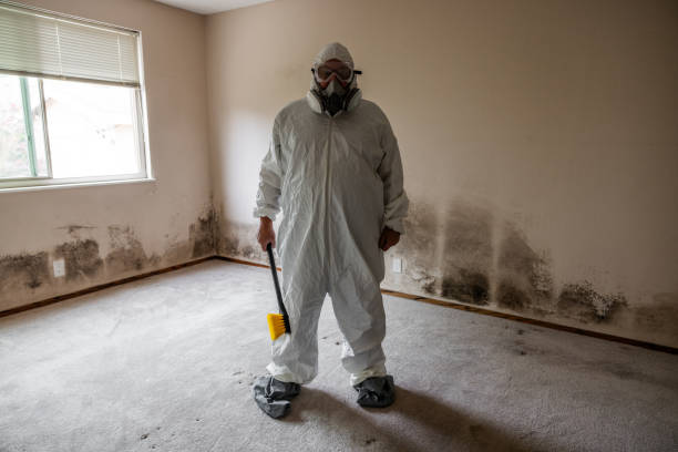 Best Post-Remediation Verification Testing  in Winthrop, IA